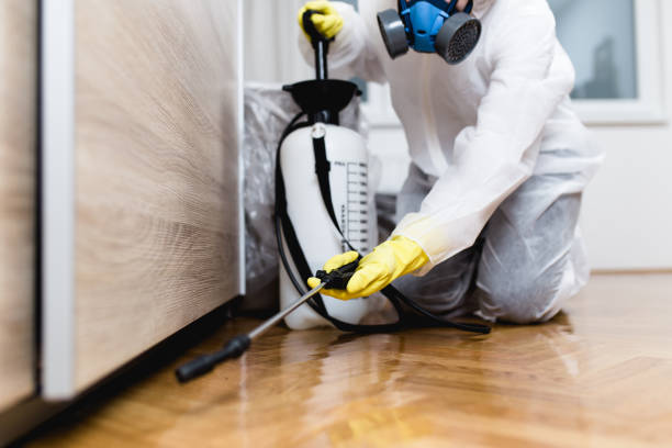 Best Commercial Pest Control Services  in Austintown, OH