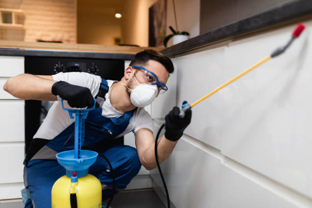 Best Best Pest Control Companies  in Austintown, OH