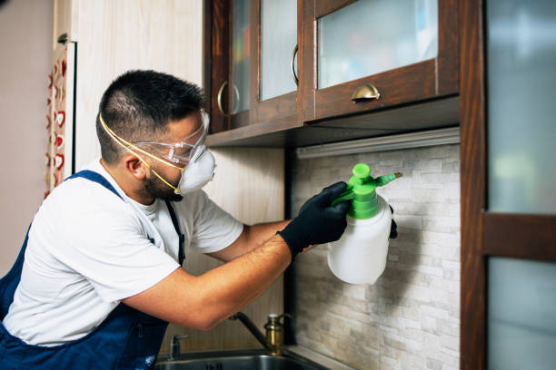 Best Affordable Exterminators  in Austintown, OH