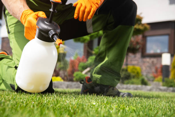 Best Wildlife Control Services  in Austintown, OH