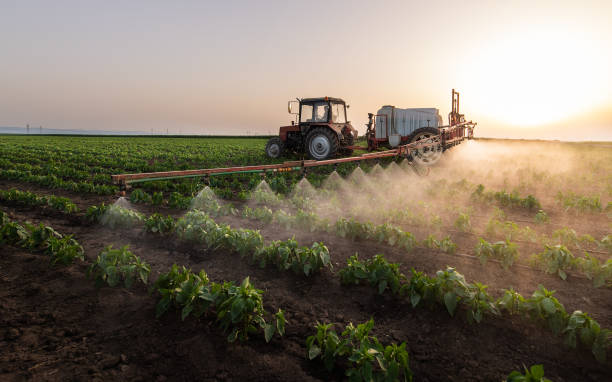 Best Mosquito Control Services  in Austintown, OH