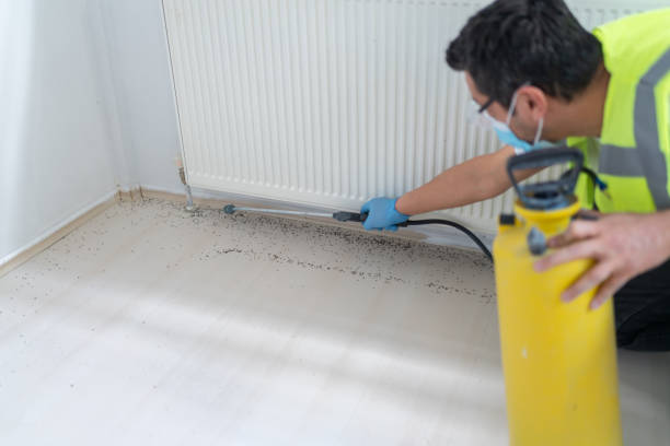Flea Control Services in Austintown, OH